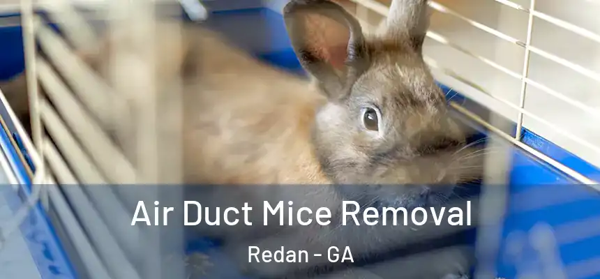  Air Duct Mice Removal Redan - GA