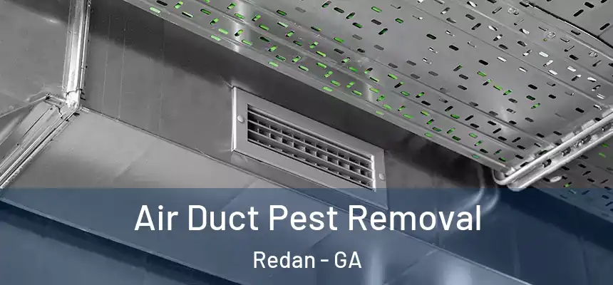  Air Duct Pest Removal Redan - GA