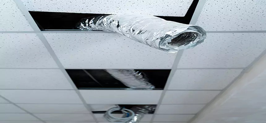 Our Air Duct Pet Hair Removal Services in Redan, GA