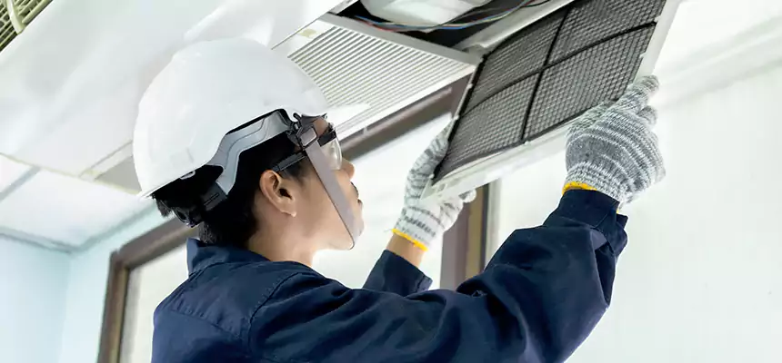 Our Mold & Mildew Removal from Air Ducts Services in Redan, GA