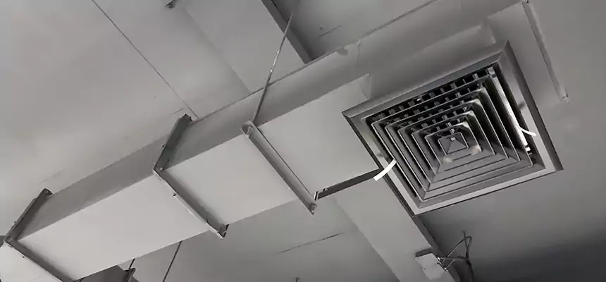 Our Rodent Droppings In Vents Services in Redan, GA