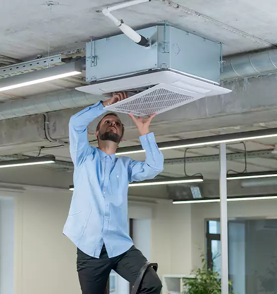 Advanced Rodent Droppings In Vents in Redan, GA